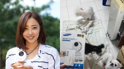애견신문과 삼성테크윈의 유기견 보호소 후원캠페인4