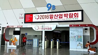[현장 스케치] 2016 말산업박람회...포니(PONY) 보러오세요.