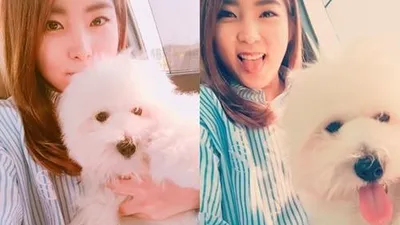 권소현, 반려견 권총과 메롱샷 '깜찍 그 자체'