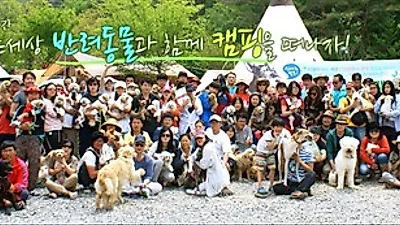 캠핑 열풍에 애견캠핑도 뜬다
