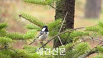 '새가 날아든다~' 서울시 조류관찰 프로그램 운영