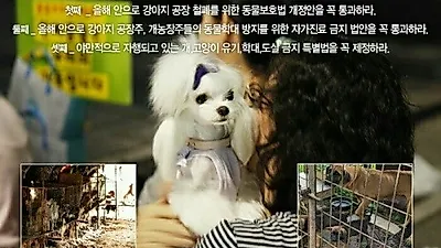 동물보호법 통과 촉구 대규모 '동물보호 시민문화제' 개최