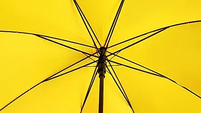 [사업성공] 자본 풍부하지 않아도 문제없는  노란우산공제 A to Z…  해지하면 오히려 손해