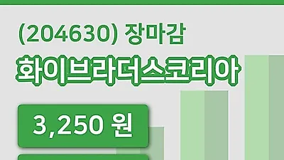 주식마감화이브라더스코리아 12일 3,250원 장 마쳐...