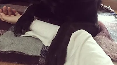 정소민 반려견, "엄마는어케출근을하니"