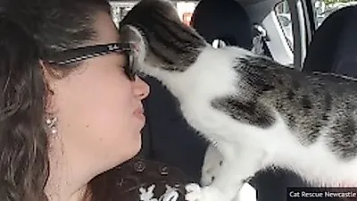 기적적으로 안락사 직전 입양된 고양이