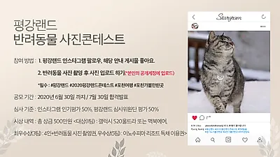 포천 가볼만한곳 평강랜드에서 반려동물 사진 콘테스트 개최