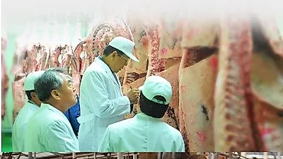 [정읍산외한우마을 조은장터] 좋은 한우들은 다 어디로 가는가?
