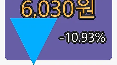 비엠티 5일 마감가 6,030원 전일비 -10.93% 변동..