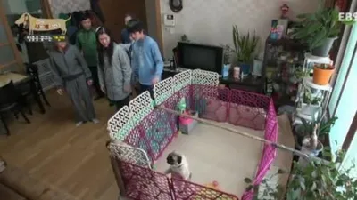 반려견을 가두어 기르면 안되는 이유