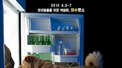 직접 보고 느낄 수 있는 반려동물 박람회 `2019 여수펫쇼` 개최 예정