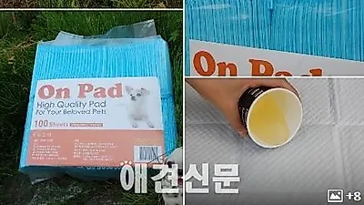 26차 애완용품 체험단 "온 패드"