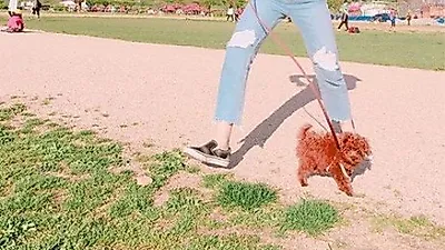 EXID 혜린, 반려견 꼬물이와 신나는 봄소풍 "씐나"