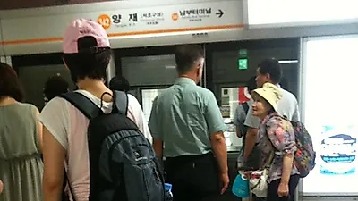 케이지 없는 애견동반 대중교통 탑승은 금지