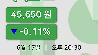 국내주식마감시디즈 17일 45,650원 장종료