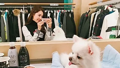한채아, 화장대 옆 도도한 반려견 '찰칵'