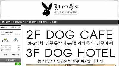 플레이독스 애견카페