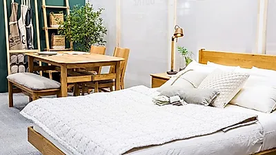[집꾸미기]  집이 좁아도 괜찮은  신혼집 디자인하기…  반려식물 입양 어때?