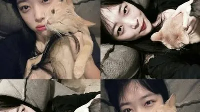 설리, 반려묘와 귀여운 4종 셀카 대공개