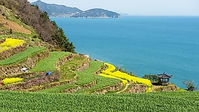[6월 국내 여행지 추천] 주말에 가볼만한 곳 남해, 양떼목장부터 다랭이마을까지 여행 코스 모음