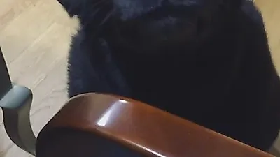 정소민, 반려견과 평화로운 일상 공개