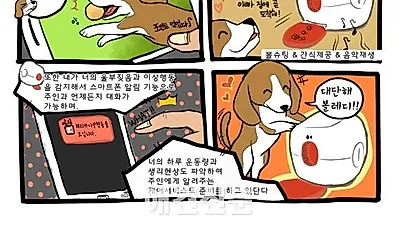 반려동물 맞춤형 케어정보서비스를 제공하는 "볼레디 "