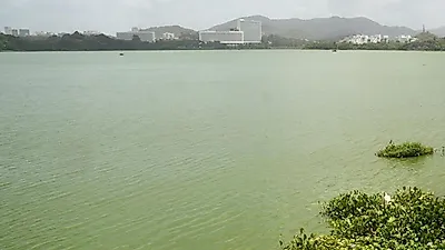 숨 못쉬는 포와이 호수를 살려주세요