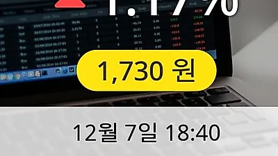 토필드 7일 1,730원 장종보고
