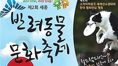 세종시, '반려동물 문화축제' 개최