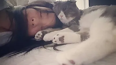 구하라, 반려묘 닮은 꼴 인증 '붕어빵'