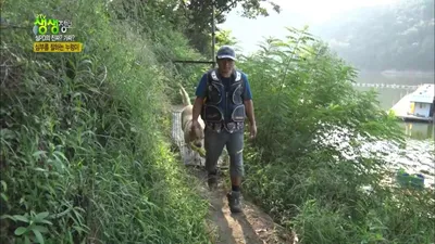 El retriever Nureongi de un estanque de pesca en Anseong realiza desde la entrega de café hasta el…