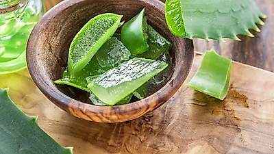 피부에 좋은 알로에, 알로에수딩 활용법을 알아보자