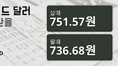 29일 뉴질랜드 달러 살때 751.57원, 팔때 736.68원 ▲0.12%상승