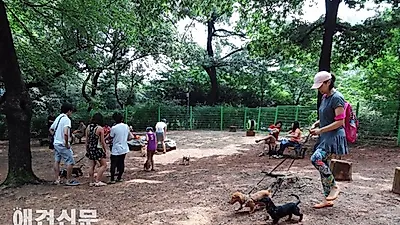 서울시 반려견 놀이터 개장, 시민들 평가 "글쎄요"