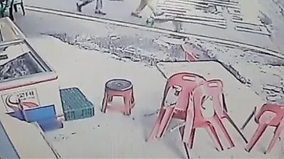 임신한 고양이 학대한 60대 검찰 송치