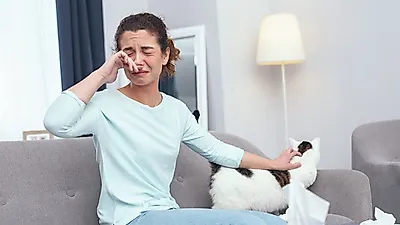 고양이 보기만 해도 재채기! 알레르기 적은 고양이는 누구?