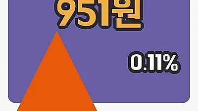 주식마감제미니투자 12일 951원 마감...