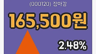 주식마감CJ대한통운 9일 165,500원 장 마쳐그래프정리