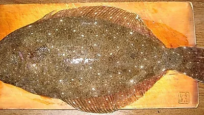 '가자미조림'을 좀 더 맛있게 만들려면?, 다양한 가자미 조리팁
