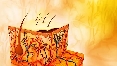 '피지흡입기', '피지낭종 치료' 등 얼굴 피지 제거 방법은?