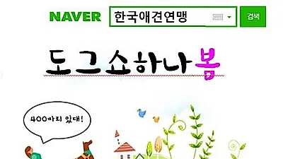 올해 첫 도그쇼 KKF 챔피언십 고양에서 개최