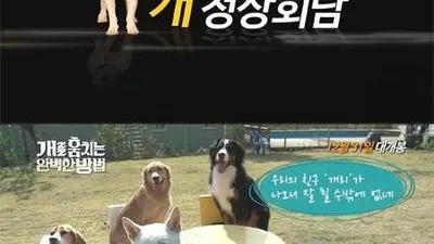 개를 훔치는 완벽한 방법, 천방지축 견공들의 '개정상회담' 영상 공개