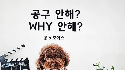 애니콩, 믿고 구매할 수 있는 강아지간식을 공동구매 형식으로 저렴하게