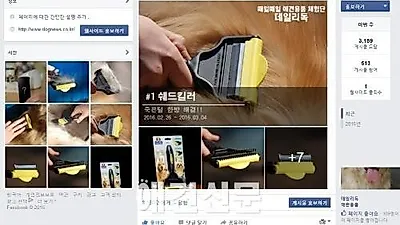애견신문사, 매일매일 애견용품 체험단 시작