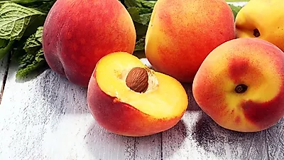털 접촉만으로 온 몸 두드러기가? 복숭아 알레르기 증상 및 치료방법 확인