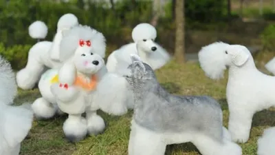 " 제1회 전국 DOGWIG 아트 경연 대회 " 열려