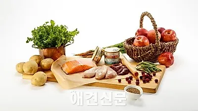 유기묘들과 함께한 '웰니스 코어 주식캔' 촬영 현장, 와이낫스튜디오