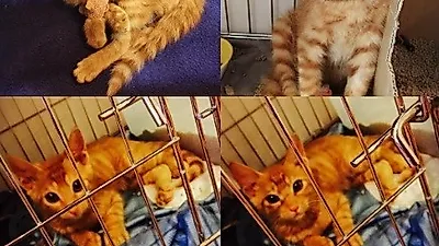효린, 아픔이 많았던 환아 "건강해야해! 감사합니다"