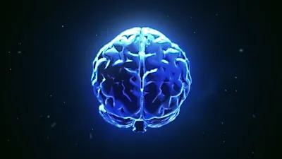 했던 말을 또 할때…  치매 전조증상  예방 도와주는  귀리 효능에 주목하라