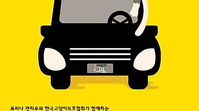 "똑똑" 고양이를 위해 출근 전 자동차에 모닝노크하세요